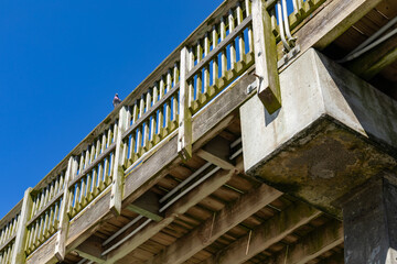 Underneath structure of a wood pier supported by concrete pilings set against a blue sky, horizontal aspect