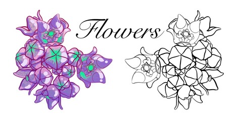 a bouquet of flowers in different colors and for coloring