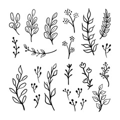 Hand drawn floral ornaments. Flowers and leaves doodle vector collection. Decorative plants illustrations. Nature decoration drawings handmade style.