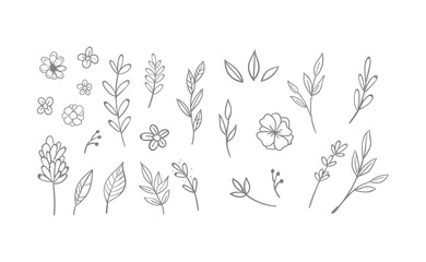 Floral and herbal ornament hand drawn designs. Leaves and branches nature doodles.