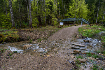 Mountain tour along the Alpenfreiheit premium trail near Oberstaufen