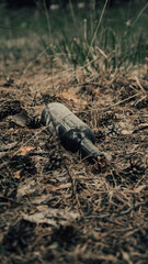 bottle in the woods
