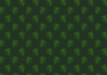 plant pattern, swiss cheese plant pattern, monstera leaves