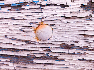Wooden plank with cracked paint and spider web