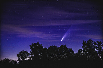 Neowise