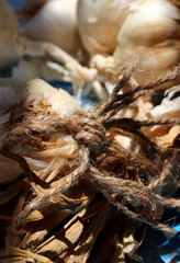 close-up of an organic dried garlic