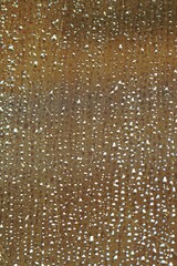 Regentropfen am Fenster