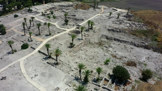 Aerial Tilt Up Shot Of Palm Trees At Tel Megiddo Near Farm Field, Drone Flying Forward Over Protected Site On Sunny Day