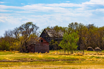 A view of old abandoned farm houses that were left to be reclaimed by nature. These structures are in a state of disrepair and are starting to collapse as they were forgotten on the prairies.