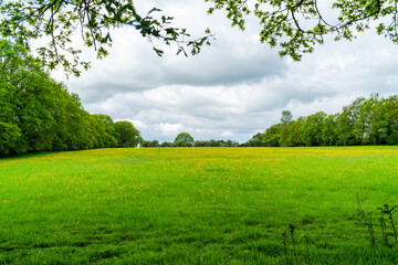 Rural Kent in late spring