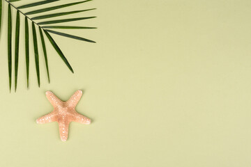 Fruit carambol, beach accessories and foliage of a tropical plant on colored paper