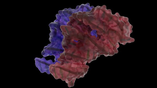 Adenine Riboswitch in Action before binding Adenine