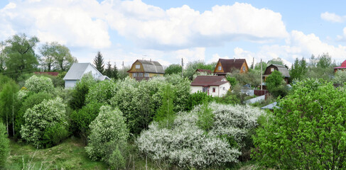 Rustic houses in a garden of cherry blossoms and apple trees. Cottages on a hill on a sunny day in...