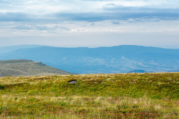 meadow with wild herbs in mountains. wonderful countryside landscape on a cloudy morning in late summer