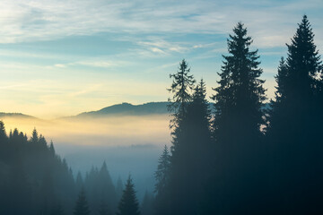 rural valley on foggy sunrise. wonderful nature scenery of forested apuseni mountains, romania. wonderful weather with glowing clouds on the sky