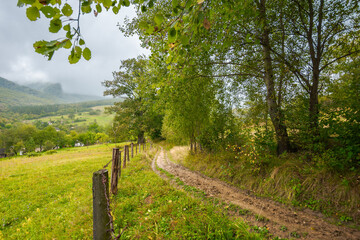 Fototapeta na wymiar rural dirt road to village. autumnal countryside of carpathian mountains. rainy weather. fence along the meadow. gray heavy clouds above the valley