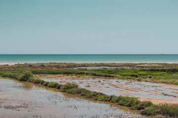 Delta del Ebro. Humedales de la playa del Migjorn. 