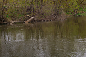 nature of Russia spring river
