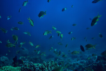 Obraz na płótnie Canvas under water ocean / landscape underwater world, scene blue idyll nature