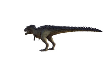 tyrannosaurus rex, in different poses for better adaptation to your collagen. 3d illustration, 3d rendering.