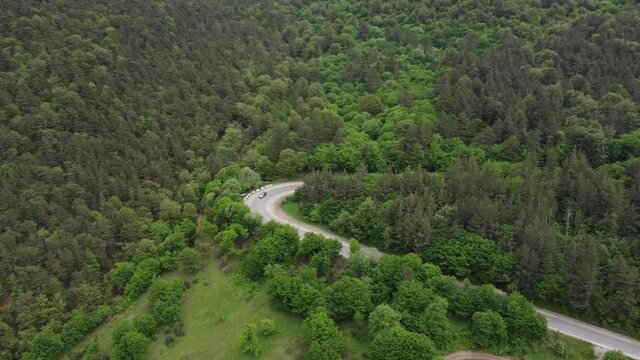 Curvy road in green forest