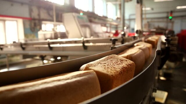 Square fresh bread on conveyor automatic production line bakery after stone oven, sunlight.