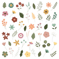 A set of colorful flowers and plants. Flower cliparts for postcards, logos, business cards, invitations. Hand-drawn flowers and plants. Vector illustration.