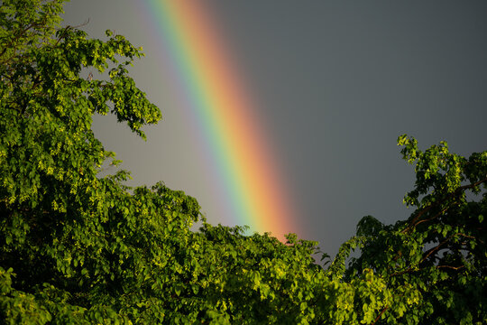 Rainbow sky after the rain real photo