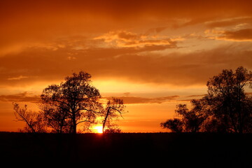 Fototapeta premium Beautiful red and yellow sky during colorful sunset