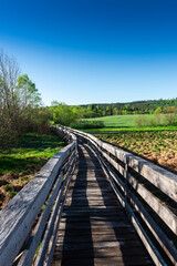 Obraz premium Wooden Footpath in Tarnawa Moors in Bieszczady Park, Poland