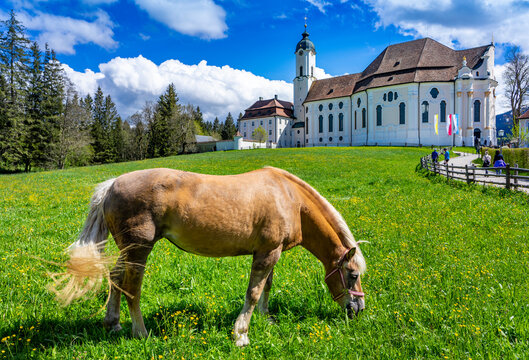 Urlaub in Bayern: Wieskirche bei Steingaden mit Pferden - Wallfahrtskirche zum Gegei&szlig;elten Heiland auf der Wies