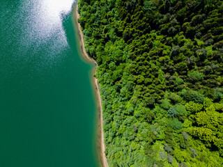 Green Forest Woods and Turquoise Water lake. Top Down Drone Aerial View