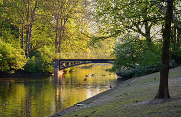 Bridge over the pond in the city Park