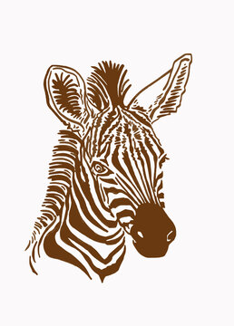 Vintage portrait of zebra,graphical savanna animal