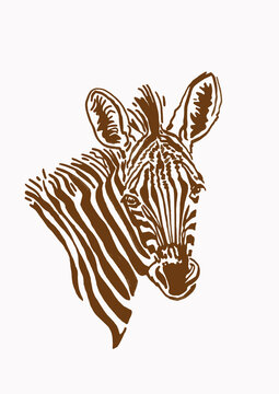 Vintage portrait of zebra,graphical savanna animal