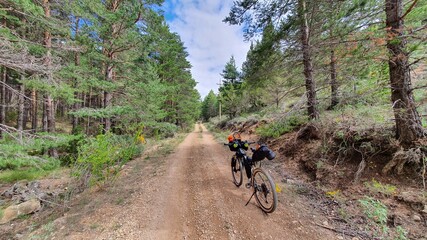 cycling in the woods