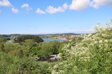 Fototapeta na wymiar Landscape around Bohus Fästning, Sweden