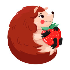 A cute cartoon hedgehog holds ripe strawberries in its paws. Children's illustration of an animal. Vector illustration isolated on white background.