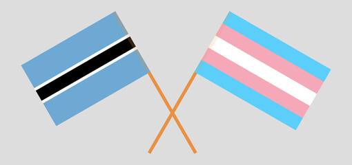 Fototapeta na wymiar Crossed flags of Botswana and Transgender Pride. Official colors. Correct proportion