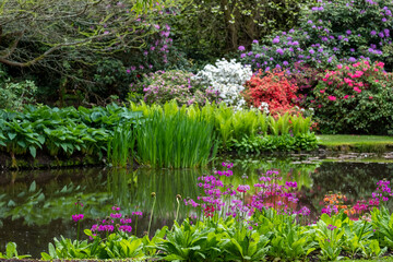 Variety of colourful flowers grow around the lake at the John Lewis Longstock Park Water Garden, Hampshire UK