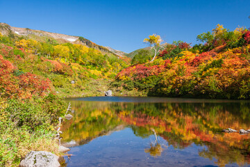 大雪高原沼めぐりの紅葉（式部沼）