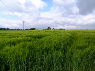 Grüne Felder bis zum Horizont bei aufkommendem Sturm mit dramatischen Regenwolken in der Provinz...
