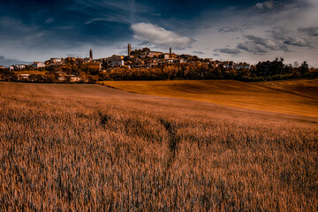 Fototapeta premium Monferrato - Lu
