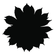 Hand drawn black vector  silhouette of succulent. Stock illustration of desert plant.