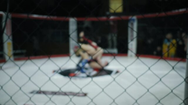 Blurred fighters fight in the octagon, knockout and win, mixed martial arts competition tournament in cage