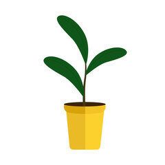 Illustration of a young sprout in a pot. Seedling