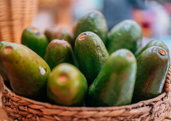 avocados green basket vegetable organic natural 