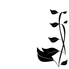 Fototapeta na wymiar silhouette of leaves and stems on white background