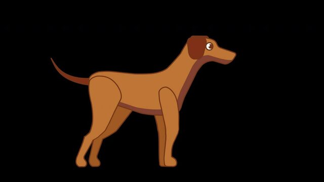Dog animation loop