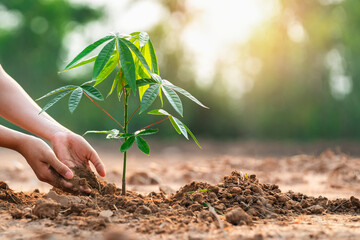 close up hand children planting tree in garden for save world. eco environment concept